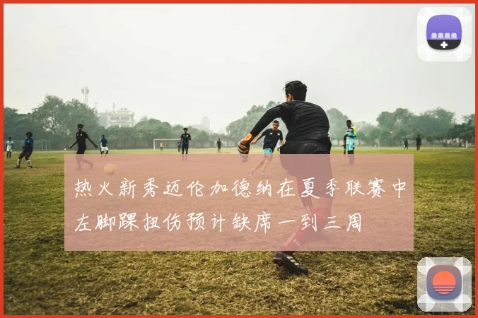 热火新秀迈伦加德纳在夏季联赛中左脚踝扭伤预计缺席一到三周